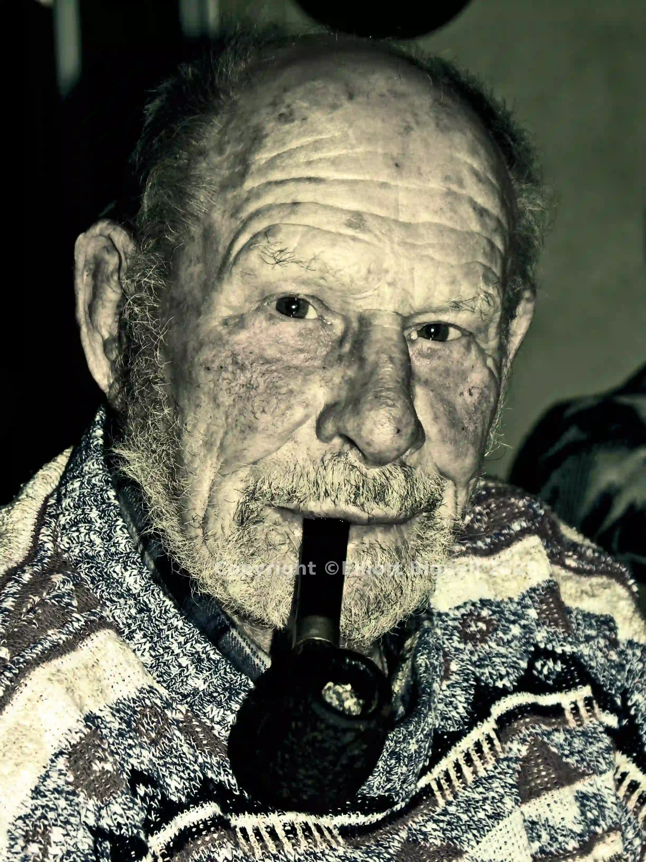 PICT0048 Selenium.jpg